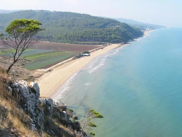 Hotell Nettuno San Menaio