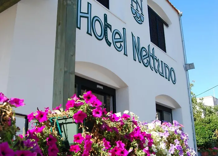 Hotel Nettuno 3*