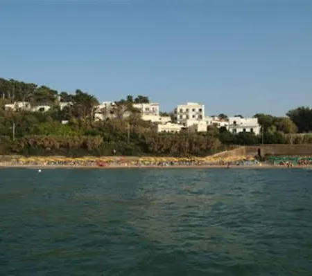 Nettuno